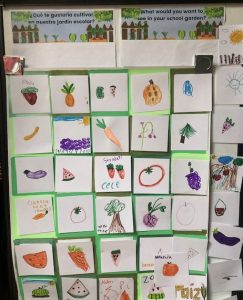Children's drawings of fruits and vegetables on small sticky notes pasted all over a board that showcases the drawings